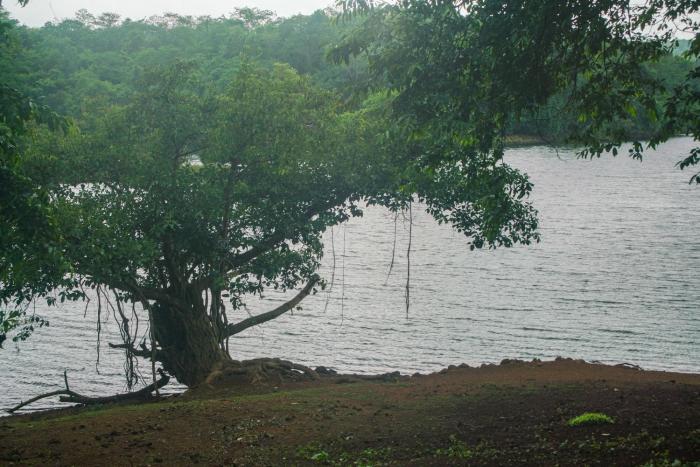 nature trails kundalika kolad