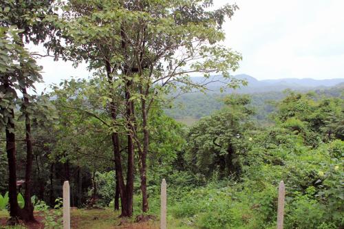 nature trails kundalika kolad