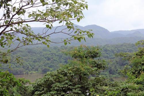 nature trails kundalika kolad