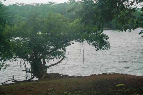 nature trails kundalika kolad