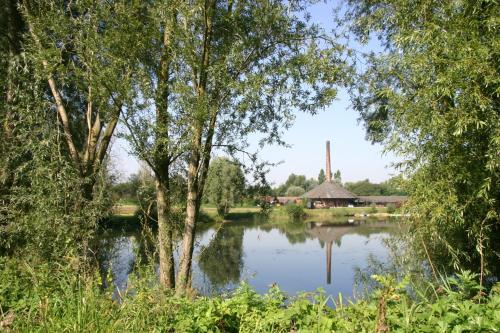 zevenaar