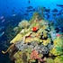 roatan
