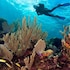 roatan