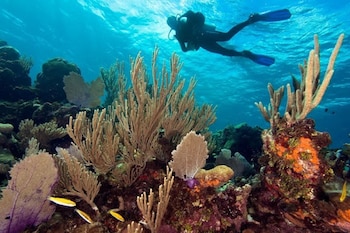 roatan