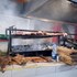 the coconut grill hotels