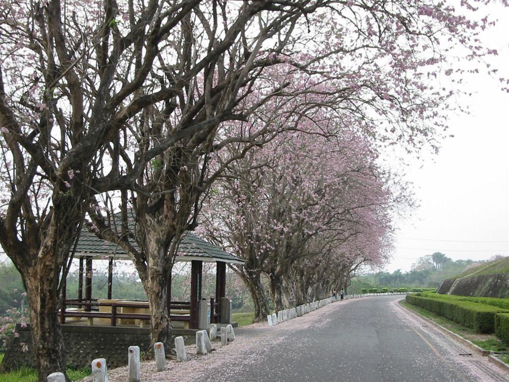 wusanto huching resort hotel