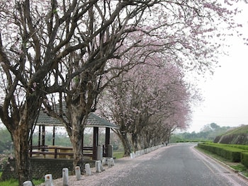 wusanto huching resort hotel