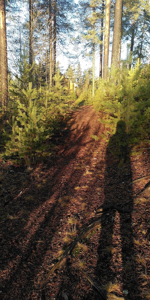 ornvik hotell and konferens