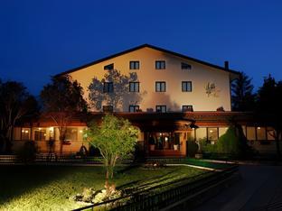 Hotel Iris,L'aquila>>Abruzzo,3 star