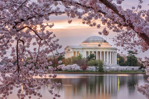 crowne plaza college park washington dc by ihg