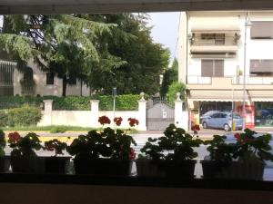 Hotel Raffaello Venice,In Chennai (T Nagar - Nungambakkam - Mylapore),3 star