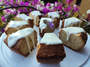 hotel casa del sotano