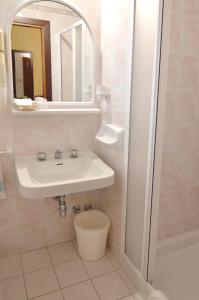 bellaria igea marina