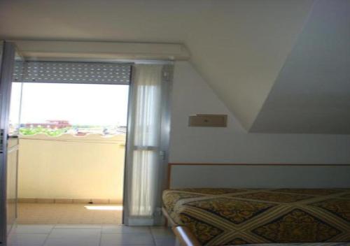 bellaria igea marina