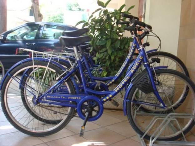 bellaria igea marina