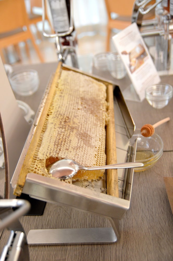 bellaria igea marina