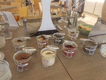 bellaria igea marina