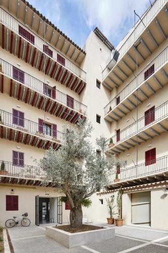 the boc hostels palma albergue juvenil