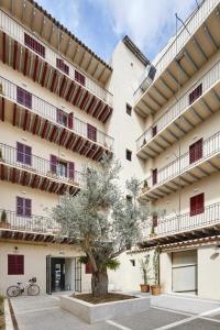 the boc hostels palma albergue juvenil