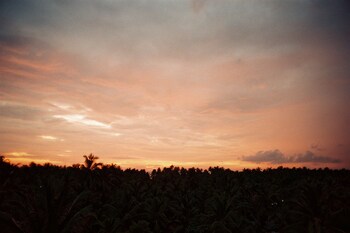 hotel lagoon paradise