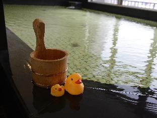 natural hot spring midosuji hotel