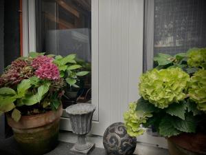 hotel am volksgarten