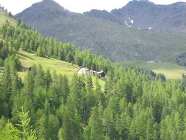 valdidentro