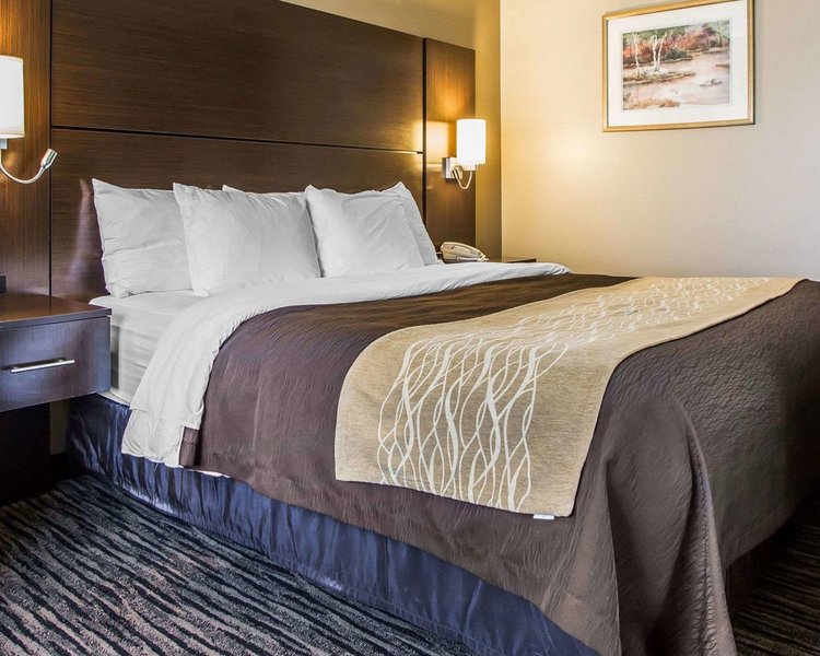 quality inn