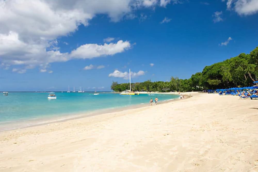 the palms resort