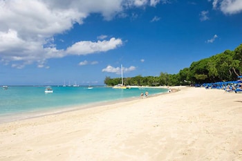 the palms resort