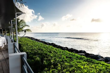 the palms resort