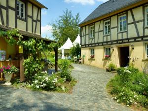 park villa zentral am mittelrhein
