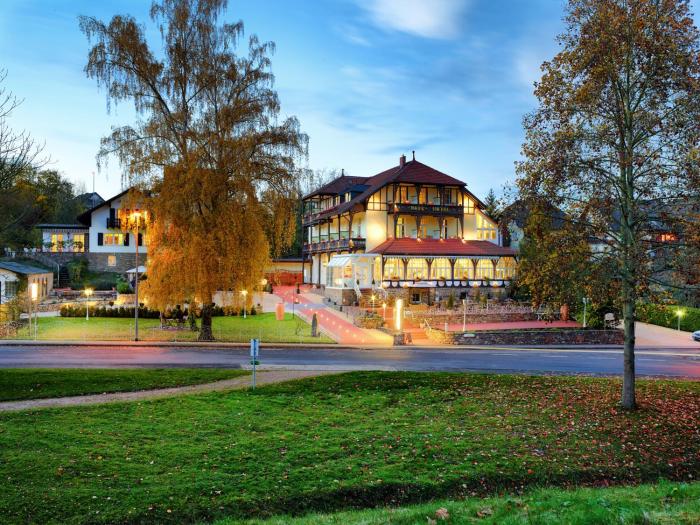 Park Villa Zentral Am Mittelrhein