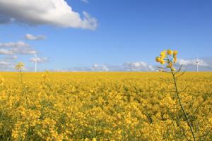 land gut hotel hermann