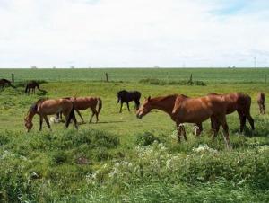 land gut hotel hermann