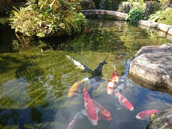 yumoto onsen oharasansou