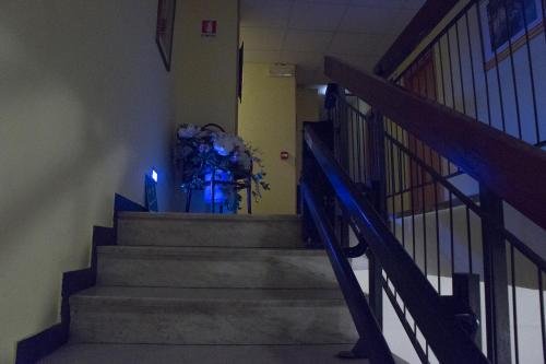 hotel magnolia