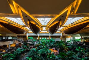 Grand Hyatt Dubai,Dubai Healthcare City>>Bur Dubai,5 star
