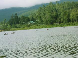 ashley resorts