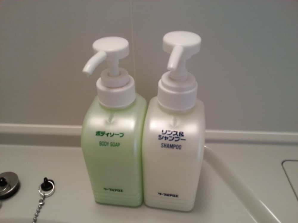 kagoshima daiichi hotel kamoike