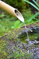 kyoto takao kanko hotel