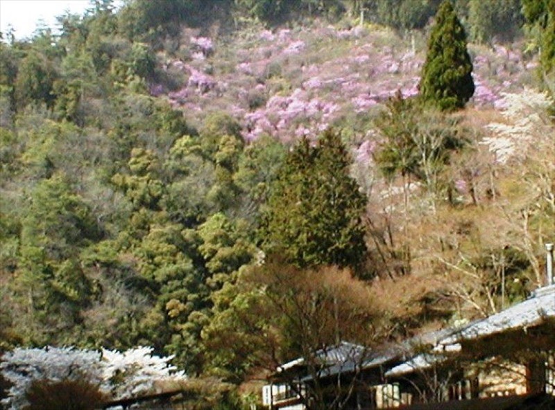 kyoto takao kanko hotel