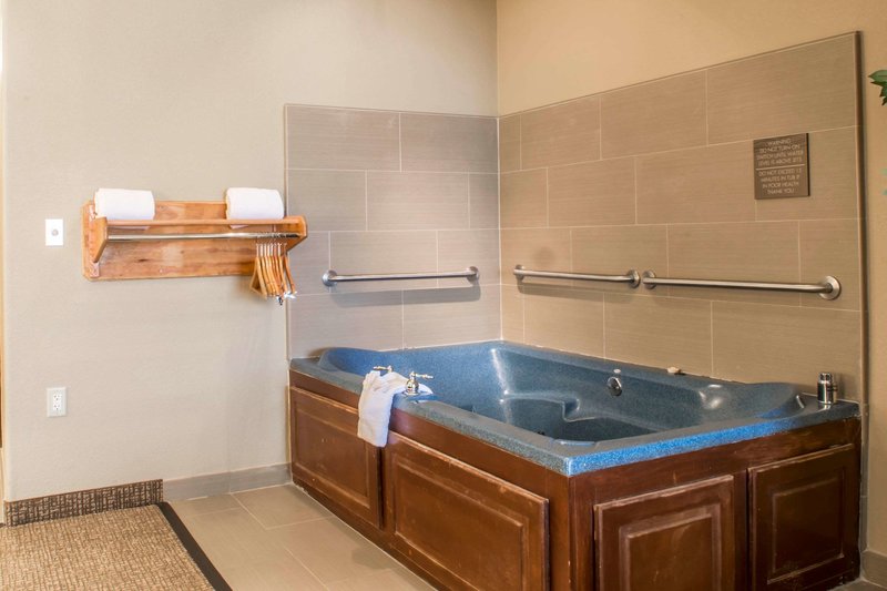 comfort inn edinburg south