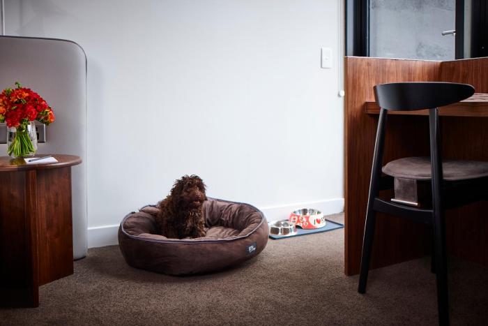 hotel indigo sydney potts point an ihg hotel