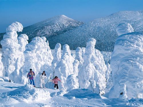 hotel premium green plus