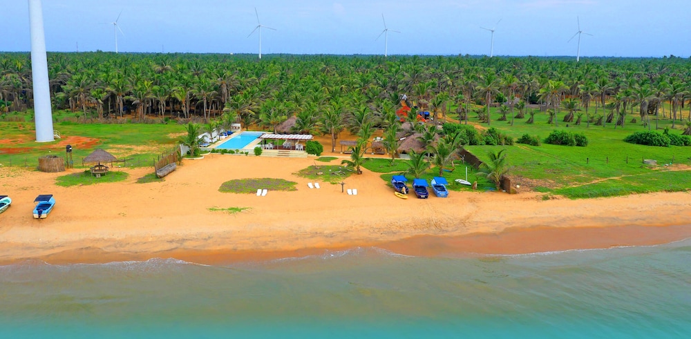 dolphin beach kalpitiya
