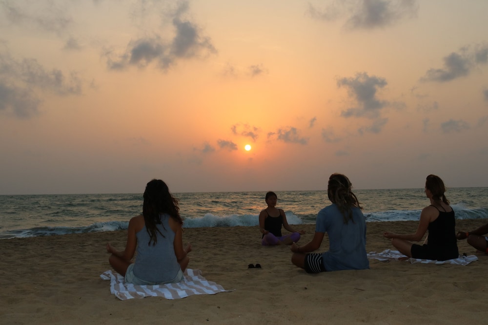 dolphin beach kalpitiya