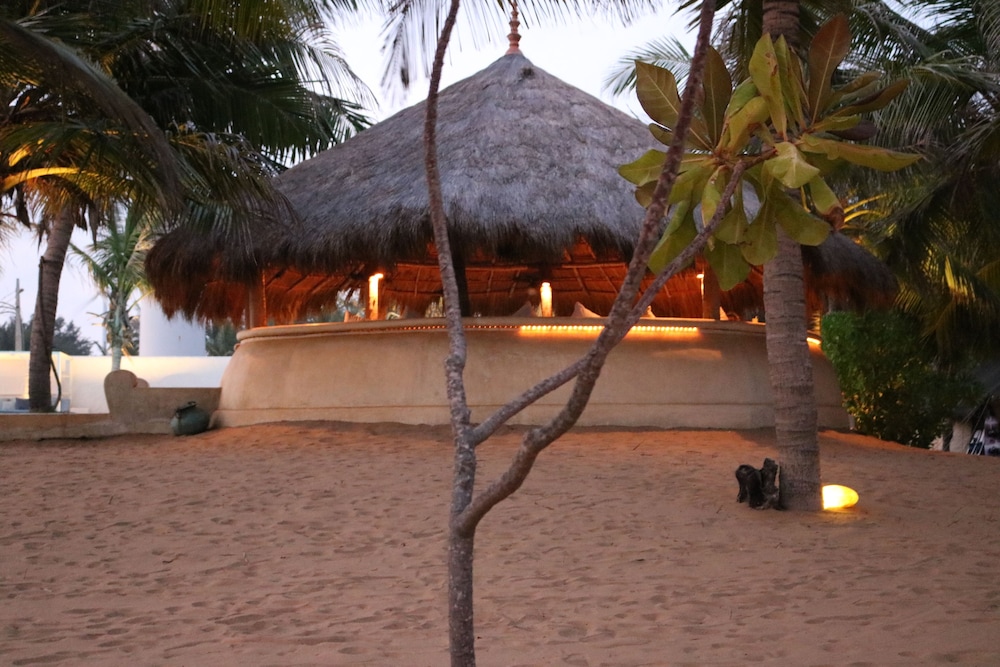 dolphin beach kalpitiya