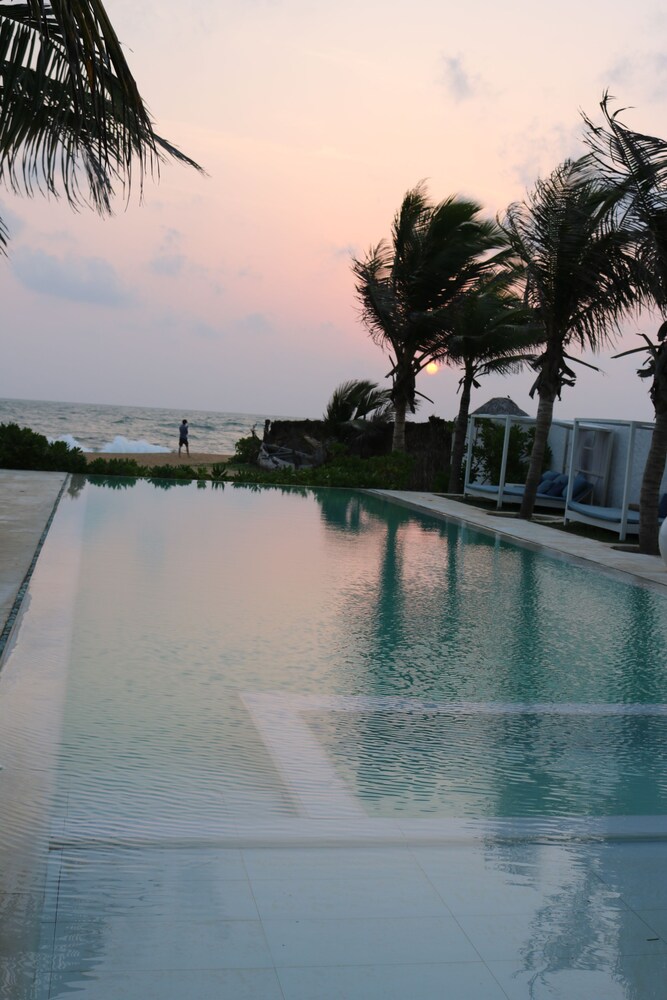 dolphin beach kalpitiya