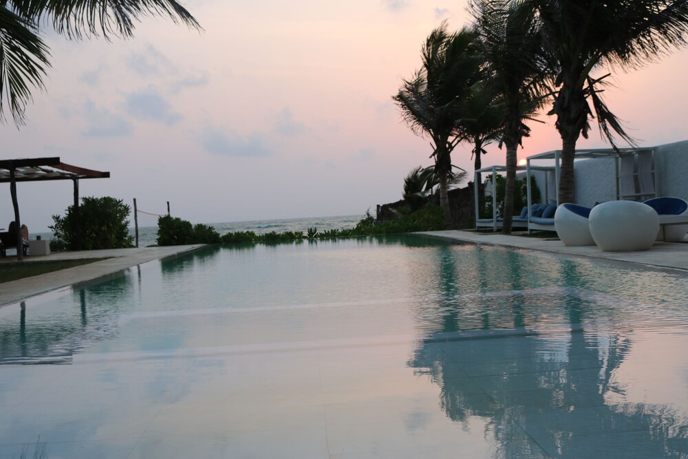 dolphin beach kalpitiya